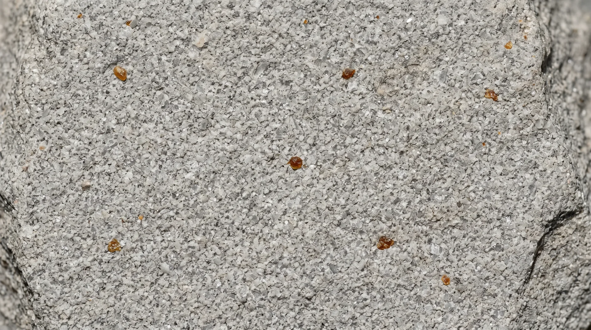 A broad flat face of pale grey rock seen from above, a few small honey-coloured grains scattered far apart with plain rock between them.